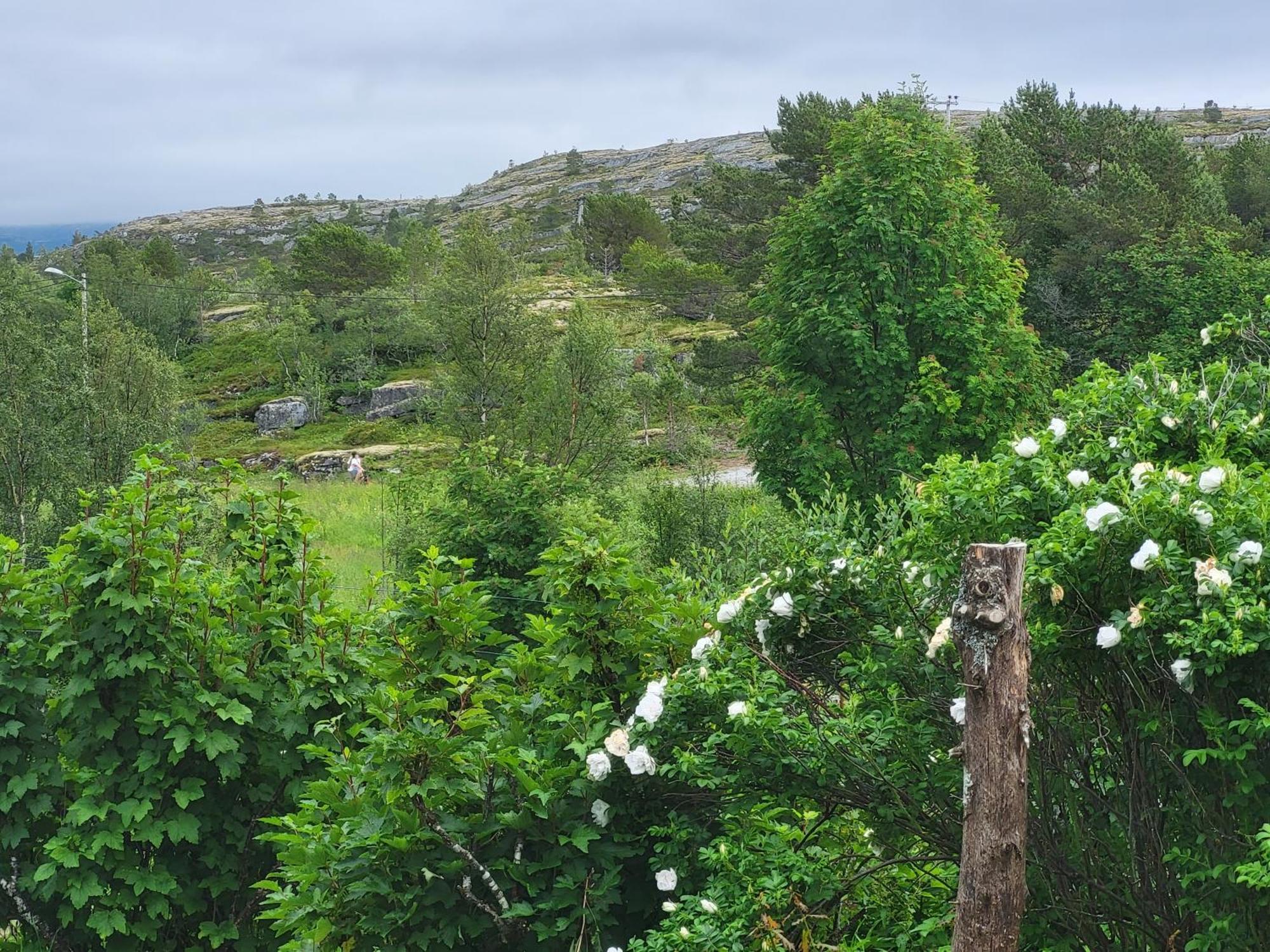 Paul'S House Villa Saltstraumen Eksteriør bilde